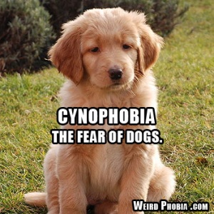 Cynophobia