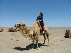 The Gobi Desert...